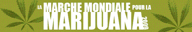 File:Montreal 2009 GMM 2.gif
