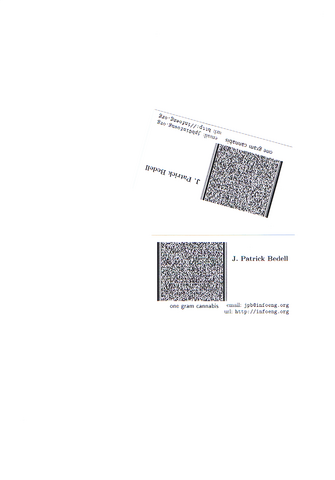 File:2007-01-08-JPatrickBedell-evidence-image-0004.pnm.png