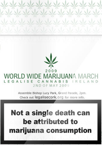File:Cork 2009 GMM Ireland.jpg