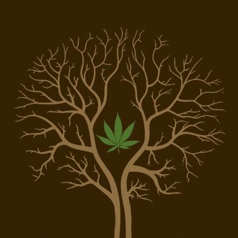 File:Tree of life.jpg
