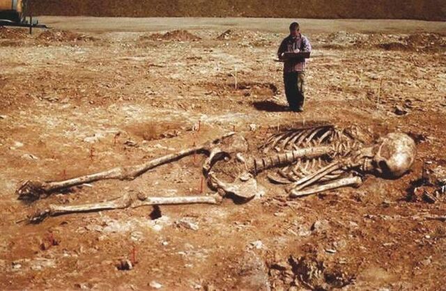 File:Skeleton in Sardinia.jpg