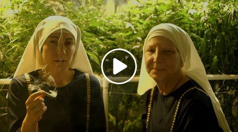 File:Weed Nuns.jpg