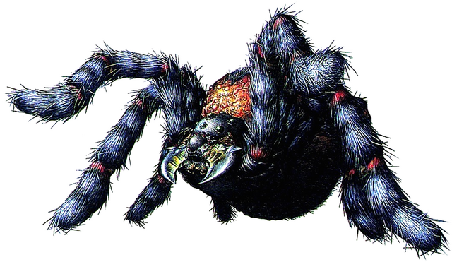 File:RE Black Tiger.png