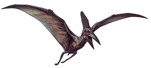 File:DCPteradon.png