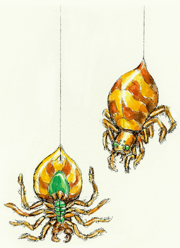 File:KoD Giant Spider.png