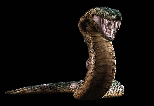 File:RE Umbrella Yawn.png