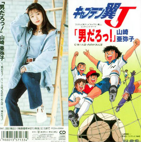 File:PCDA-00684 both covers.jpg