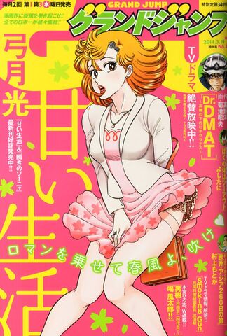 File:Grand Jump 2014-03-19.jpg