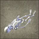 Saint Billy's Skeleton