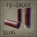 12-Gauge Slug
