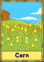 Corn
