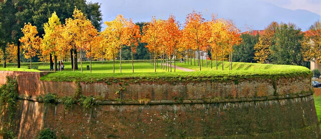 Файл:Lucca.jpg