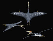 Quetzocoatlus