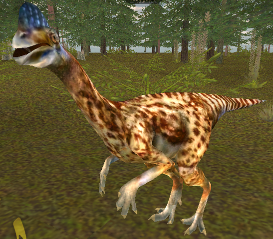 File:Oviraptor 1.png