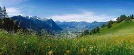 Rose Mountains