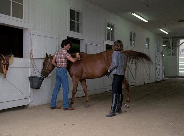 File:CarringtonStables6.jpg