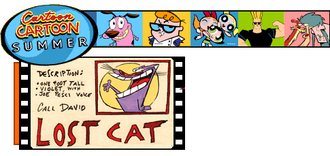 CCSummer Lost Cat