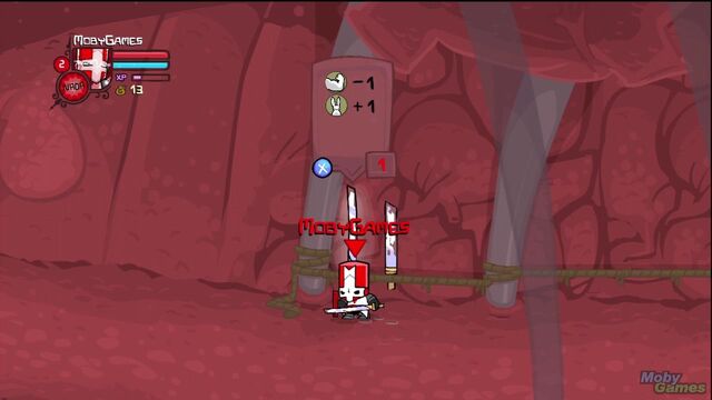 File:430545-castle-crashers-xbox-360-screenshot-if-you-re-asking-why-your.jpg
