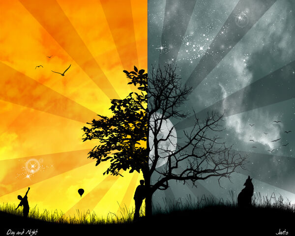 File:Cool-wallpapers.jpg