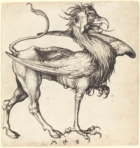 File:Griffin - 01.jpg
