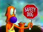 Safety Dog