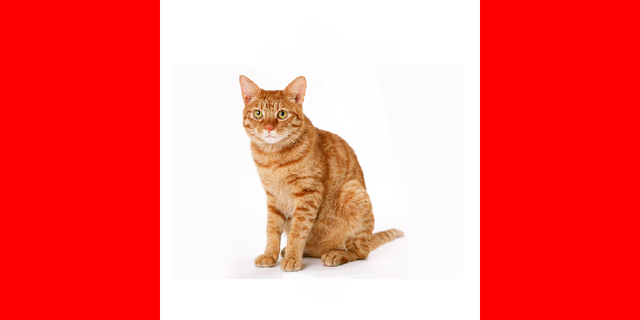 Файл:Флаг Котканады.png