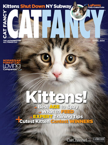 File:Catfancy april cover.jpg