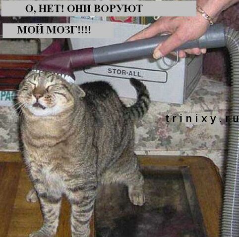 Файл:Gsktcjc.jpg