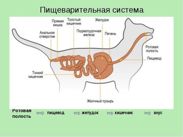 Файл:1-3.jpg