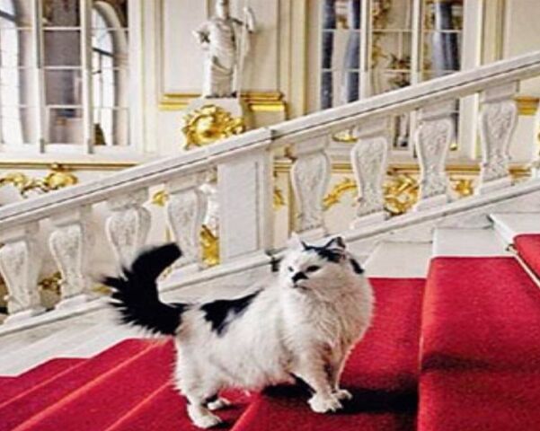 Файл:Image-1440837125.jpg
