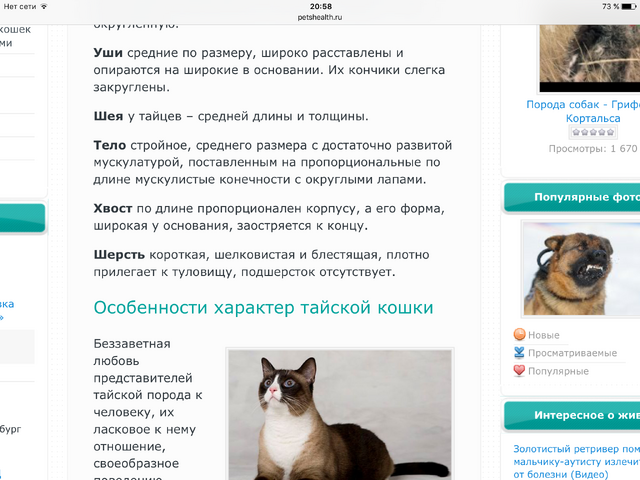 Файл:Image-0.png