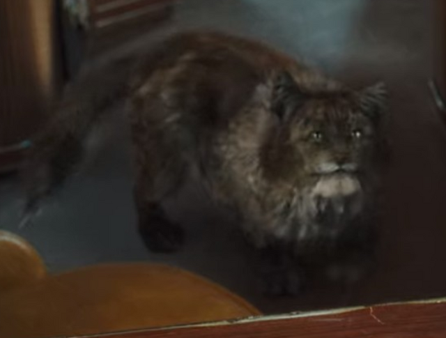 File:Paws.png