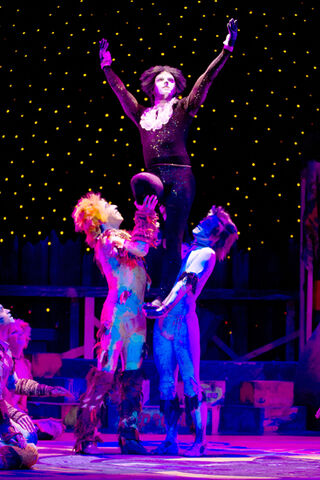 File:Craig Donnelly - Theatre by the Sea - Mistoffelees.jpg