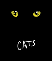 Thumbnail for version as of 06:53, November 30, 2009