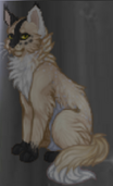Sdfsd.png