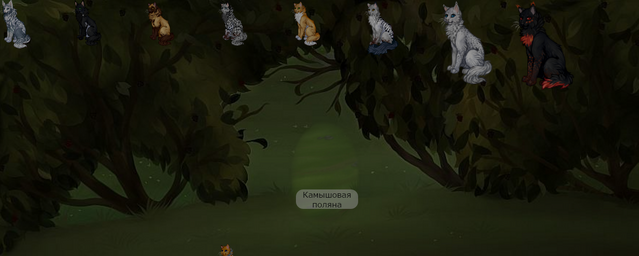 Файл:Река4.png
