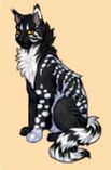 Корневая.jpg