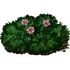 95.png