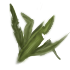 128.png