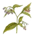 113.png