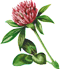 106.png