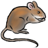Screenshot 6.png