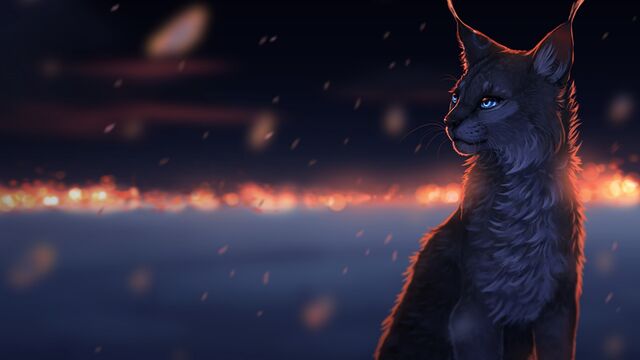 Файл:Апи.jpg