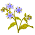 23 (1).png