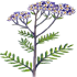 25.png