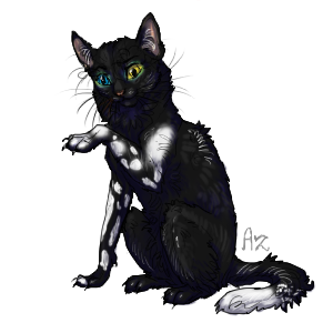 C3981a971ec20a82d3077a4920243aff.png