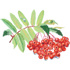 116.png