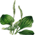 15.png