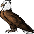 50 (1).png