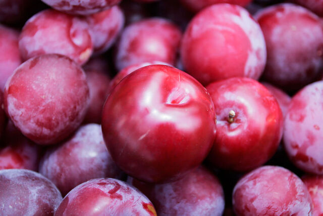 File:Plumshiny.jpg